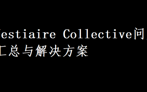 五、Vestiaire Collective问题汇总与解决方案